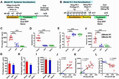 Sustained silencing peanut allergy by xanthopurpurin is associated with suppression of peripheral and bone marrow IgE-producing B cell